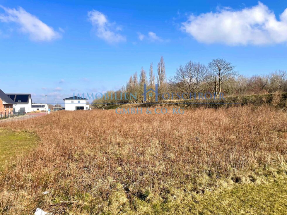 Immobilien kaufen in Lingen